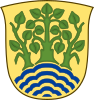 Holbæk vaakuna
