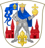Odense vaakuna