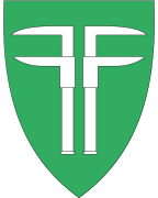Flesberg vaakuna