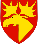 Namsos vaakuna