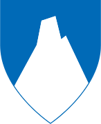 Narvik vaakuna