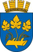 Stavanger vaakuna