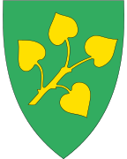 Stryn vaakuna