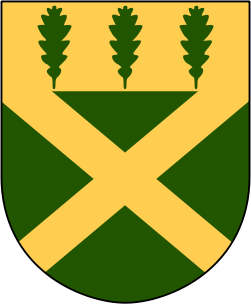 Flen vaakuna